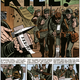 Image for article titled EC Comics